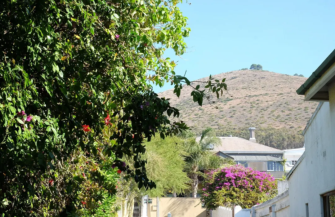 Jambo Guest House-1