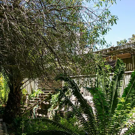 Camps Bay Forest Pods-3