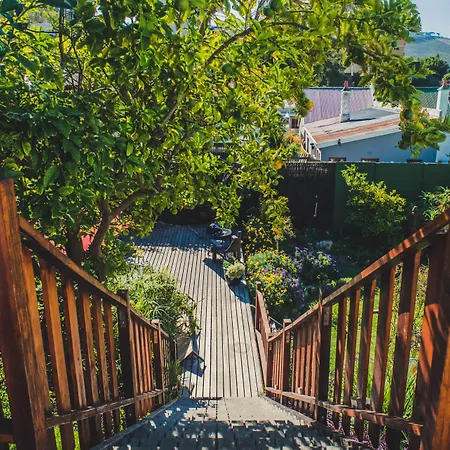 Rosedene Guest House-2