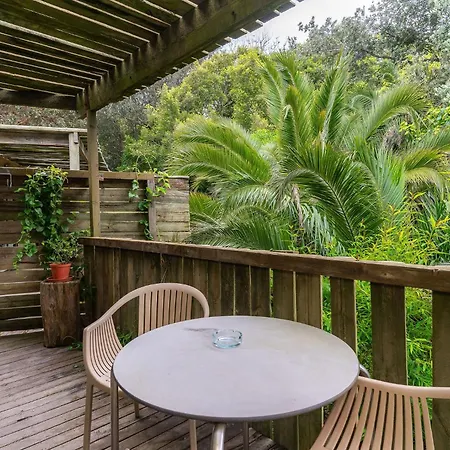 Camps Bay Forest Pods-2