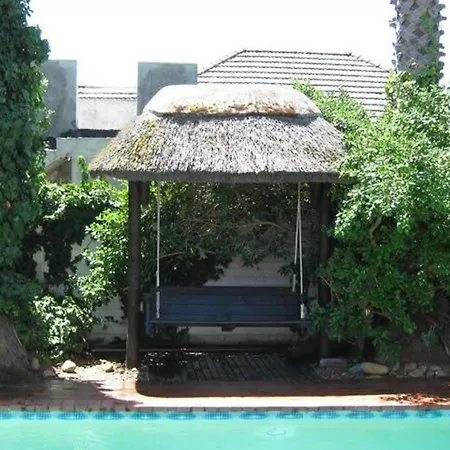 Cape Town Palms-2