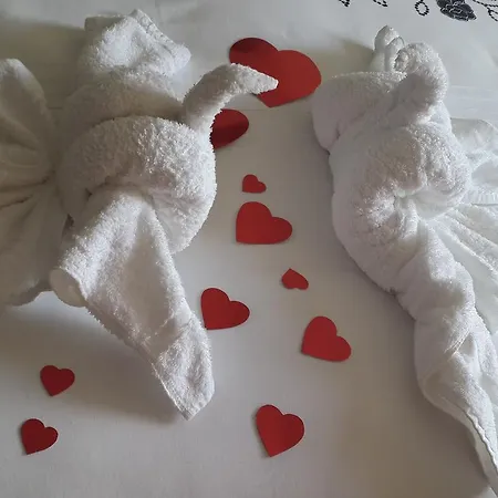 Caxton Manor B&B-2